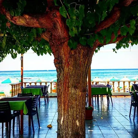 Aparthotel Paradise